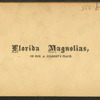 Florida Magnolias, on Honl. A. Gilbert's place.