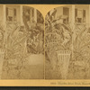 Florida Door Yard, Banana and Century Plant.