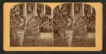 Florida Door Yard, Banana and Century Plant.