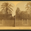 A Florida Residence with Date Trees.
