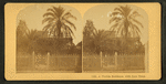 A Florida Residence with Date Trees.