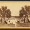 Group of people resting under the palmetto.