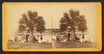 Group of people resting under the palmetto.