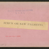 Scrub or Saw Palmetto.