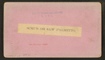 Scrub or Saw Palmetto.