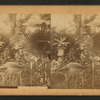 The Palms
