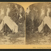 Camping in Palmetto Forest, Florida.