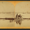 Shooting the alligators.