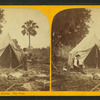Camping out in Florida: The tent.