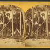 Hunters camp on Indian River.