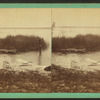 Staged scene with boy startled by attacking alligator.
