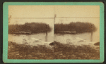 Staged scene with boy startled by attacking alligator.
