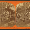 Denhams alligator camp Gulf Coast.