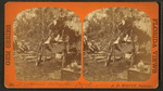 Denhams alligator camp Gulf Coast.