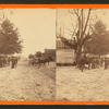Horse trading, Monticello, Fla.