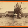 Horse Trading, Monticello, Fla.