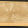 Tampa Bay Hotel.