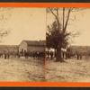 Horse trading, Monticello, Fla.