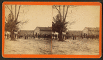 Horse trading, Monticello, Fla.