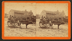 View of men sitting on ox cart, Monticello, Florida.