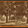 Street, Tallahassee, Fla. [view of Spanish-moss-covered trees]