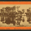 Silver Springs on the Oklawaha River.