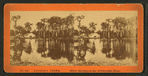 Silver Springs on the Oklawaha River.