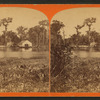 Silver Springs. General View.