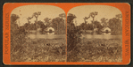 Silver Springs. General View.