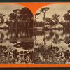 Silver Springs, General View.