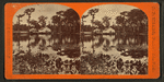 Silver Springs, General View.