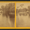 Silver Springs, General View.