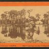 Silver Springs on the Oklawaha River.