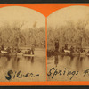 roup of sightseers in Silver Springs, Fla.