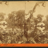 Silver Springs, General View.