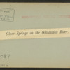Silver Springs on the Oklawaha River.