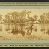 Silver Springs on the Oklawaha River.