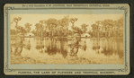 Silver Springs on the Oklawaha River.