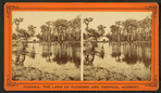 Silver Springs on the Oklawaha River.