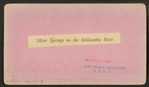 Silver Springs on the Oklawaha River.