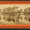 Silver Springs on the Oklawaha River.