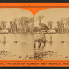 Silver Springs on the Oklawaha River.