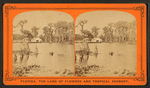 Silver Springs on the Oklawaha River.