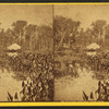 On Silver Springs Run, Fla.