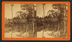 Silver Springs, Fla.