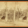 Silver Springs Run, Fla. Agnew's Turpentine Manufactory. The Store House.