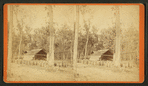 Silver Springs Run, Fla. Agnew's Turpentine Manufactory. The Store House.