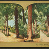 Palm Beach, Florida.