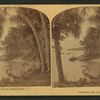 A scene on the Indian River, Florida.