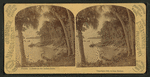 A scene on the Indian River, Florida.